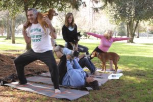 Doga is Quirky but fun.