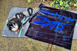 Dog on Yoga mat